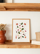 Bajando el rio Oirase