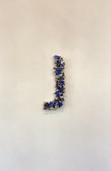 Letra de flores secas azul