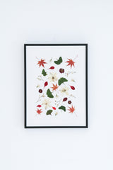 Bajando el rio Oirase