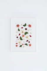 Bajando el rio Oirase