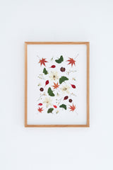 Bajando el rio Oirase