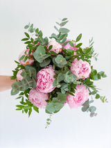 Las flores del mes "Peonias"