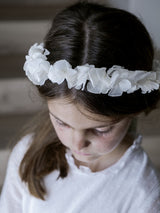 corona de flores preservadas