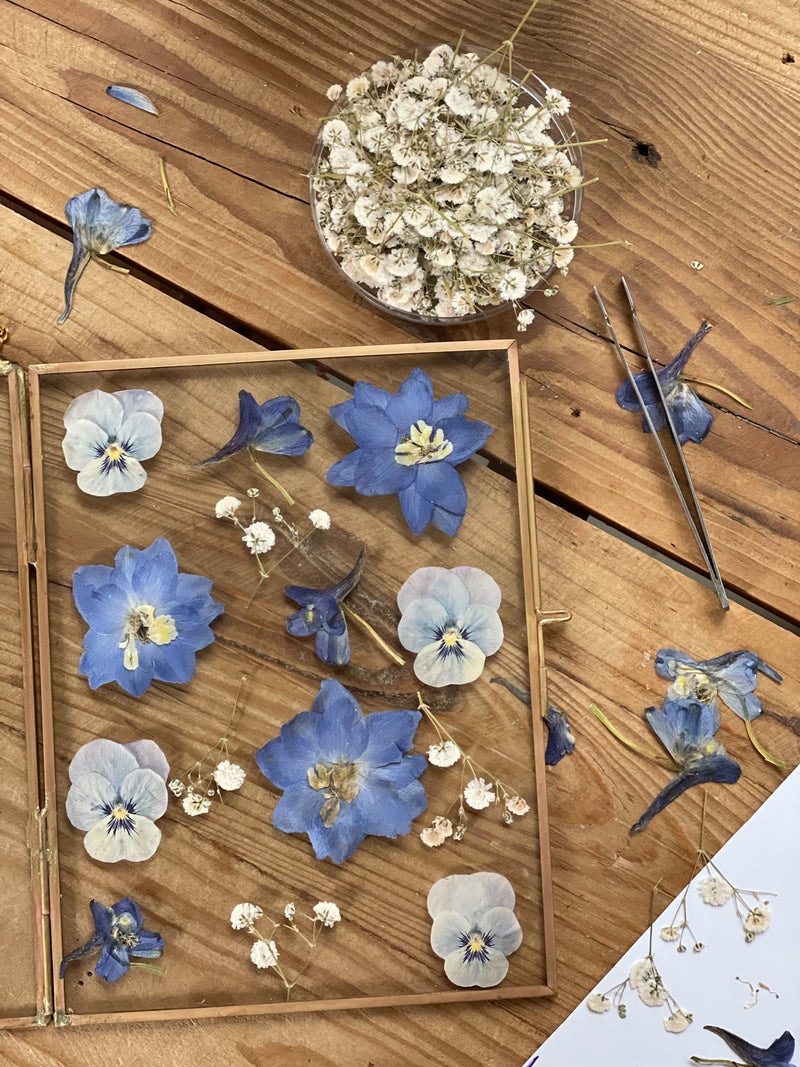 Marco de flores prensadas azul y blanco