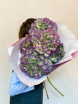 Las flores del mes "Hortensia"